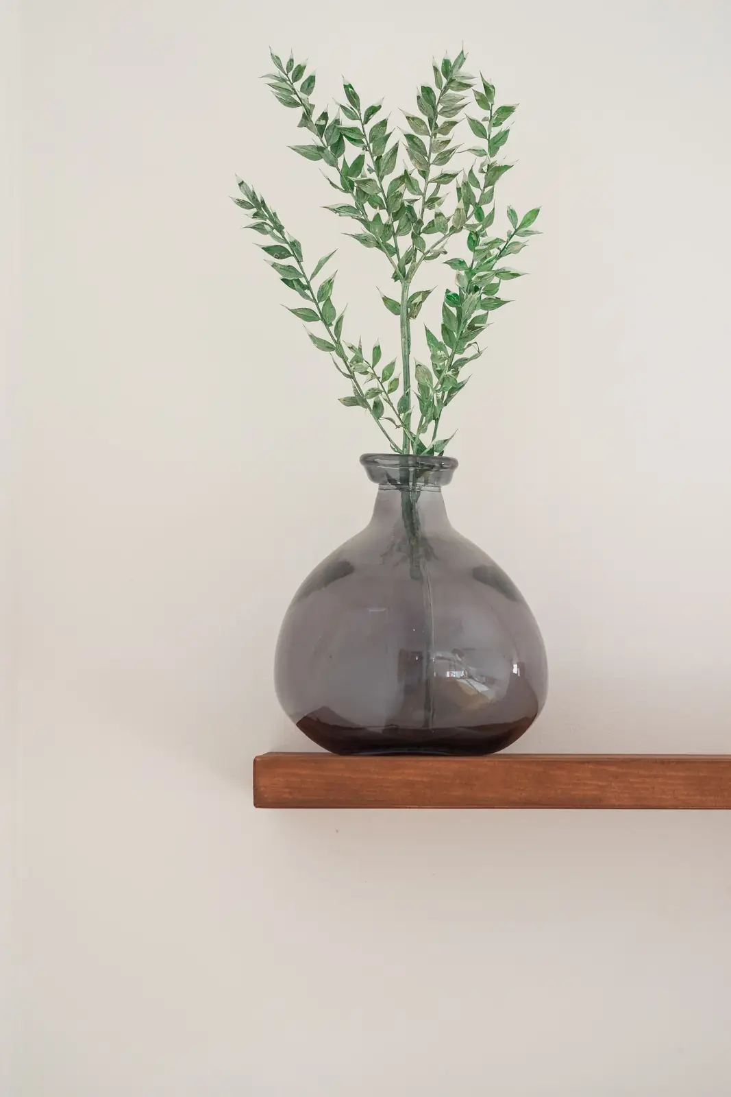 Elegant glass vase with leafy branches on a wooden shelf, perfect for minimalist decor.