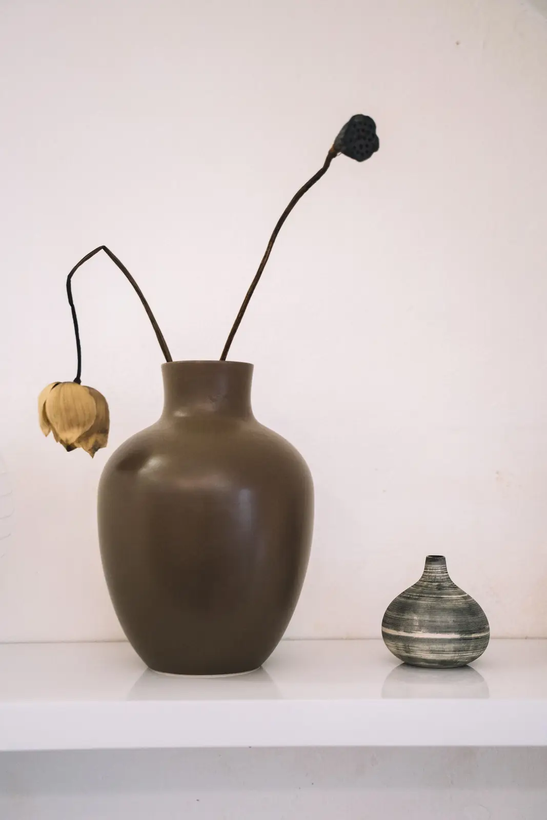 Stylish display of pottery vases with dried floral stems on a white shelf.